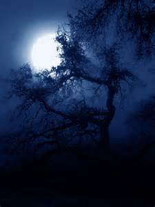  Gothic Tree courtesy of projectavalon.net