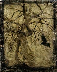 Picture courtesy of fineartamerica.com