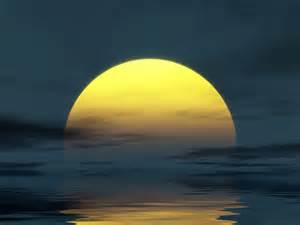 Picture courtesy of www.layoutsparks.com