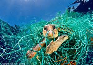 Picture courtesy of hateandanger.wordpress.com