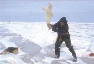 Picture courtesy of www.thepetitionsite.com