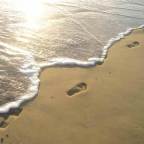 Footsteps of the Past