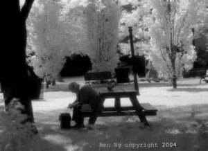 Man on Bench by www.ngphotos.com