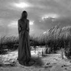 Tears of a Song Unsung