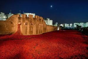 The Tower of London remembers the fallen with 888,246 poppies Picture courtesy of London Evening Standard/Rex