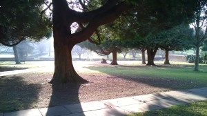St Mary's Churchyard, Hemel Hempstead, taken by the author